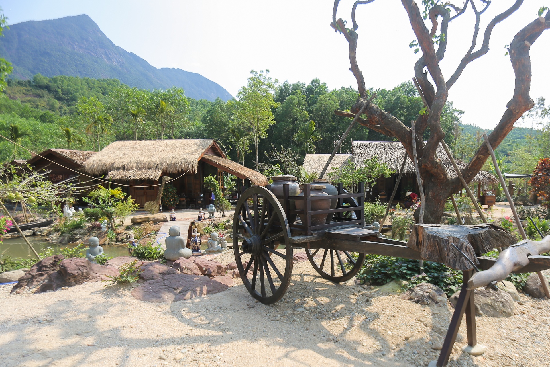 NTK Dinh Van Tho noi ve khu nghi duong xay trai phep o rung phong ho hinh anh