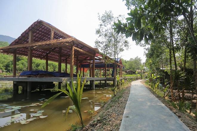 Chu dat khu nghi duong sai phep o rung phong ho la con lanh dao huyen hinh anh