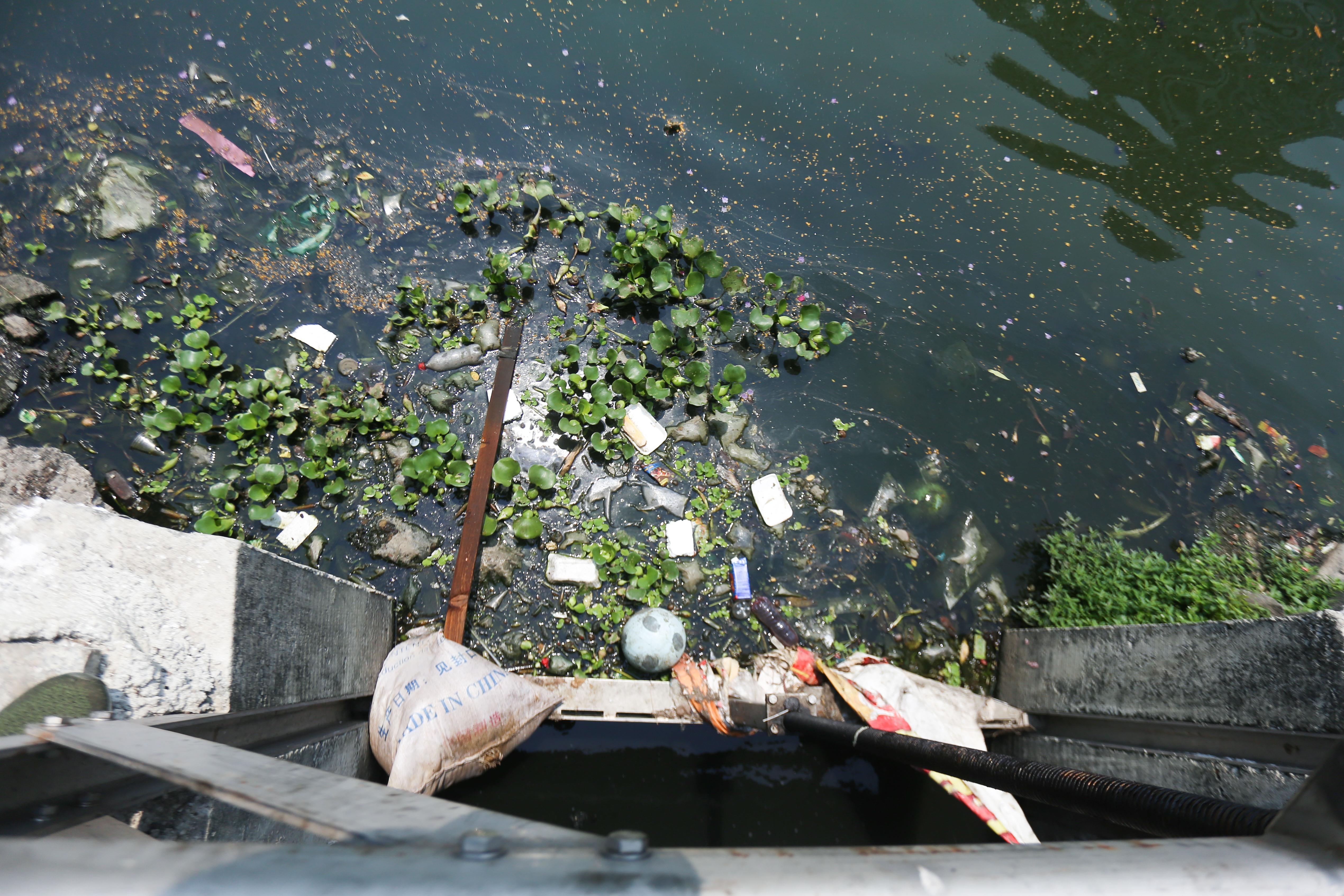Cu dan quanh 'la phoi xanh' Da Nang song chung voi o nhiem hinh anh