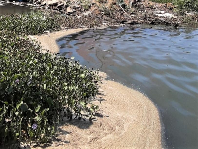 Nuoc thai do thang ra song Han gay o nhiem, ca chet hinh anh