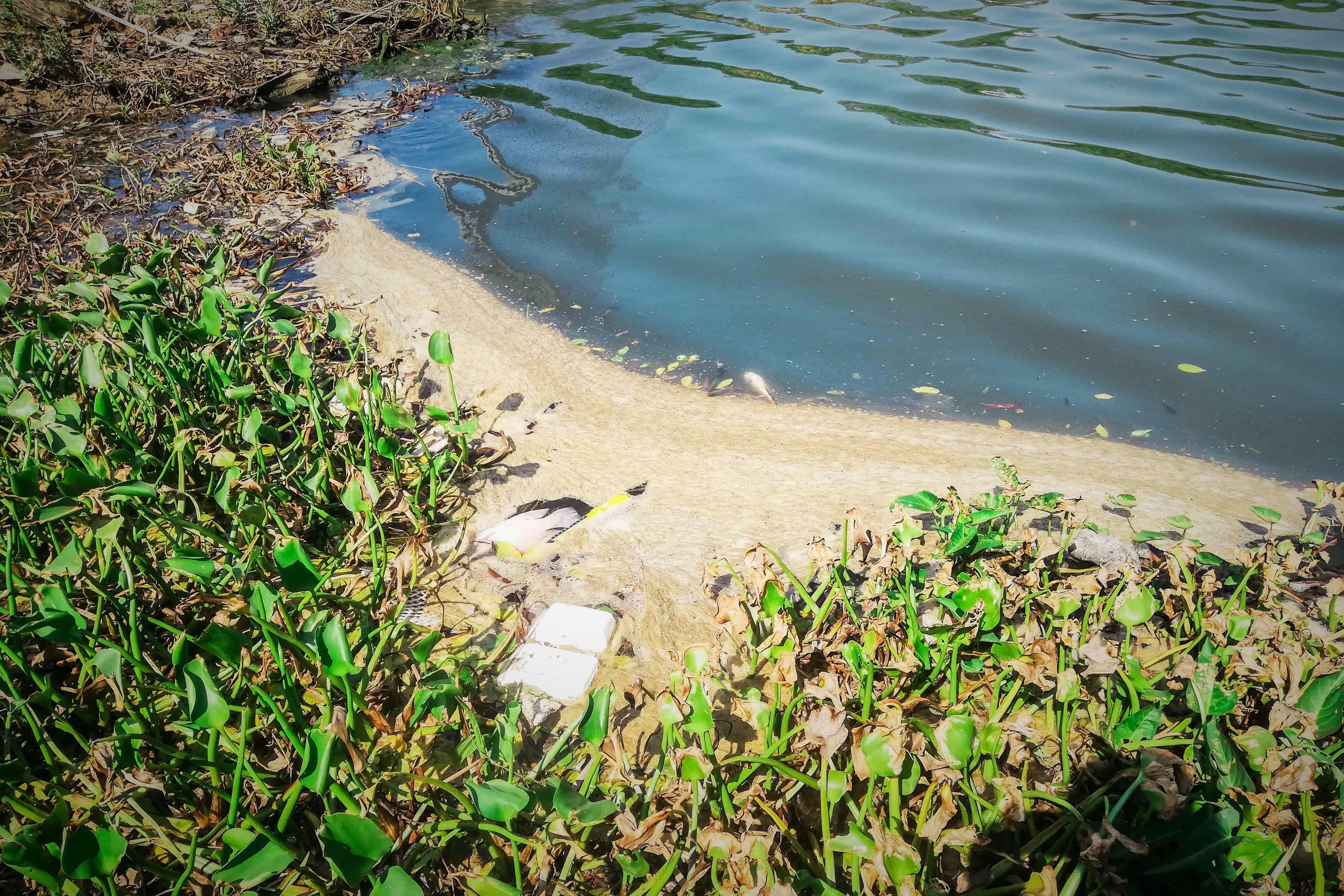 Nuoc thai den ngom chay ra song Han gay o nhiem. anh 1