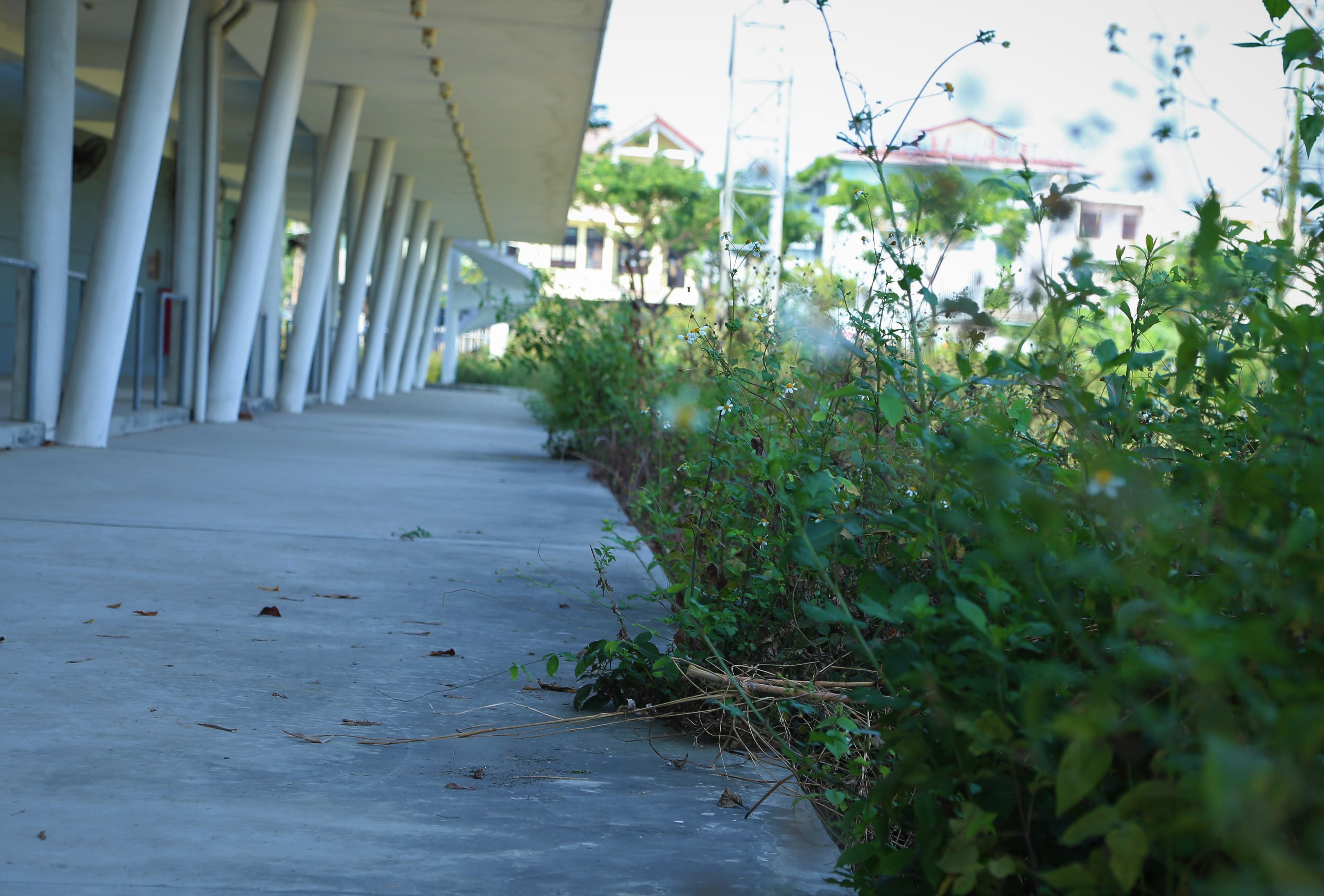 San golf gan 25 ty dong bi bo hoang hinh anh