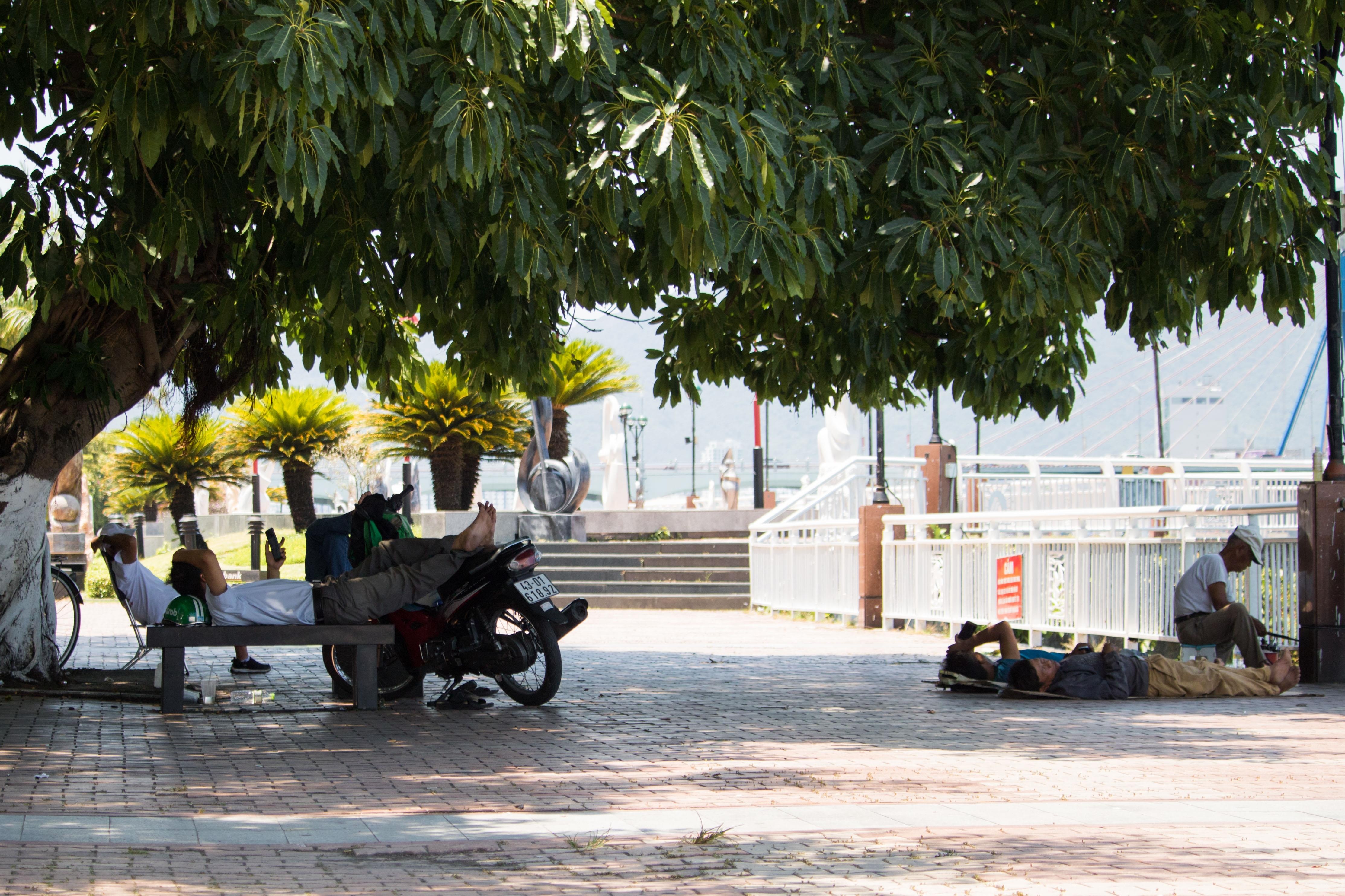 Nguoi dan Da Nang chui gam cau nghi trua. anh 9