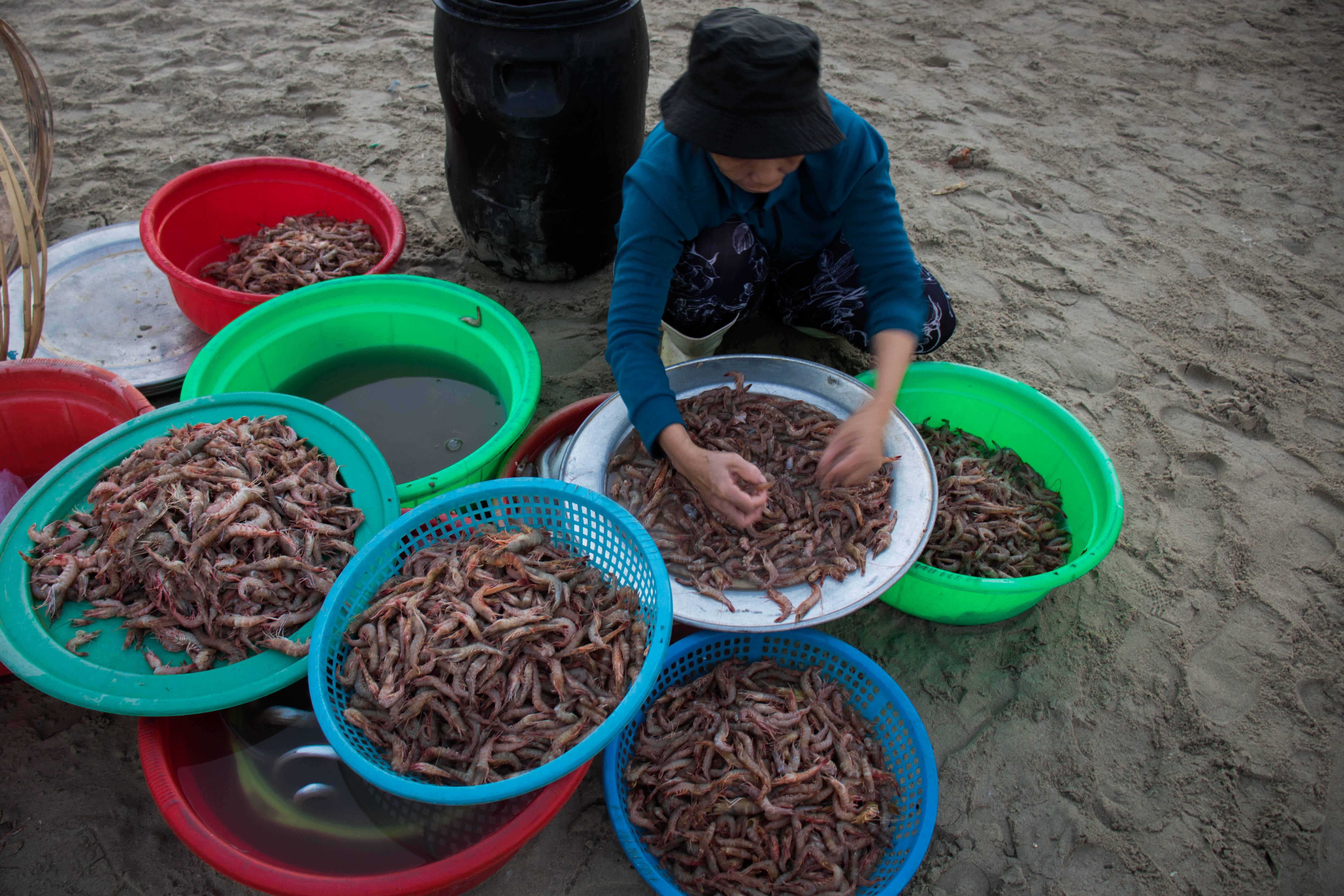 Ngu dan Da Nang trung dam me ca. anh 5
