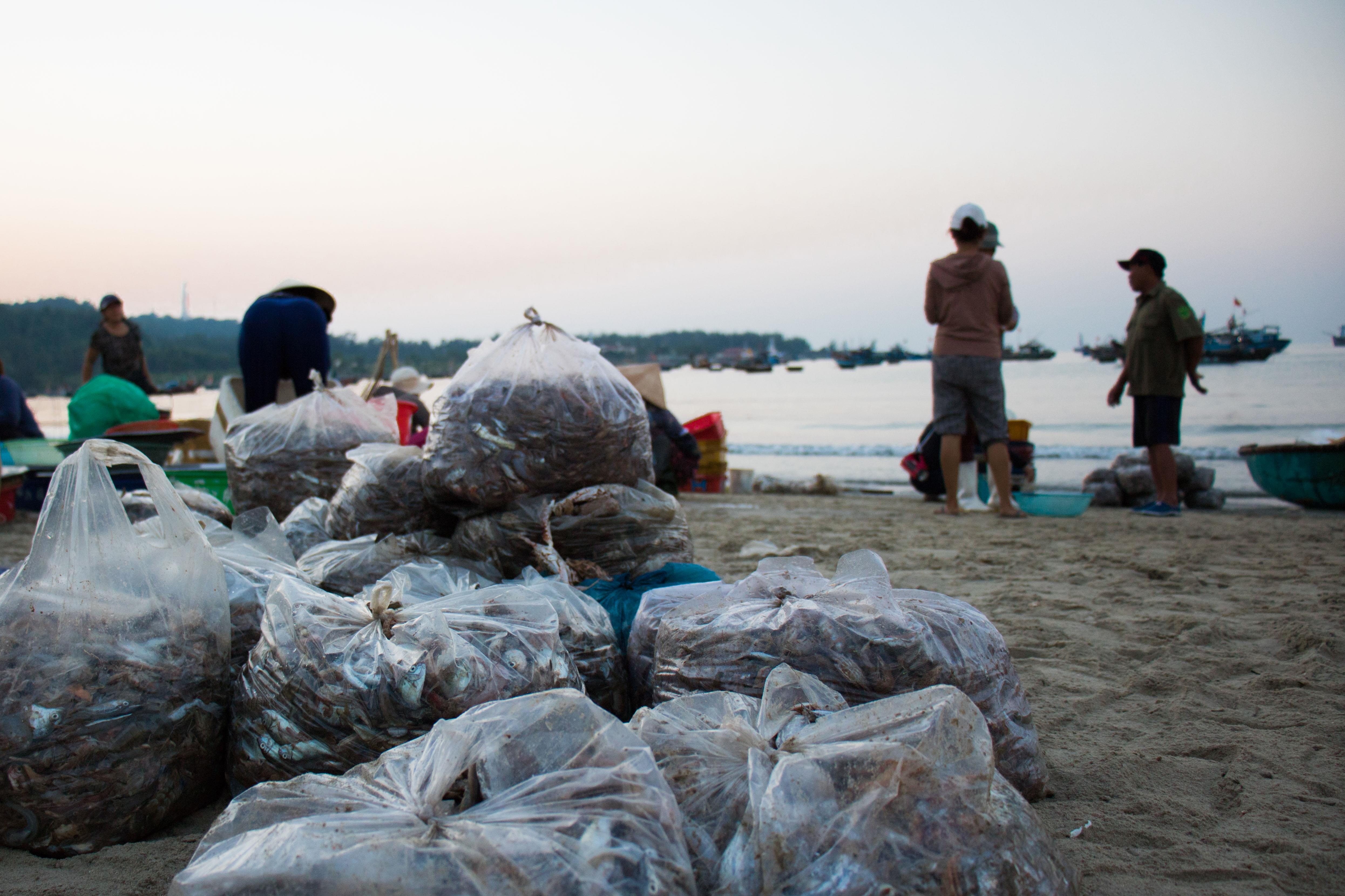 Ngu dan Da Nang trung dam me ca. anh 13