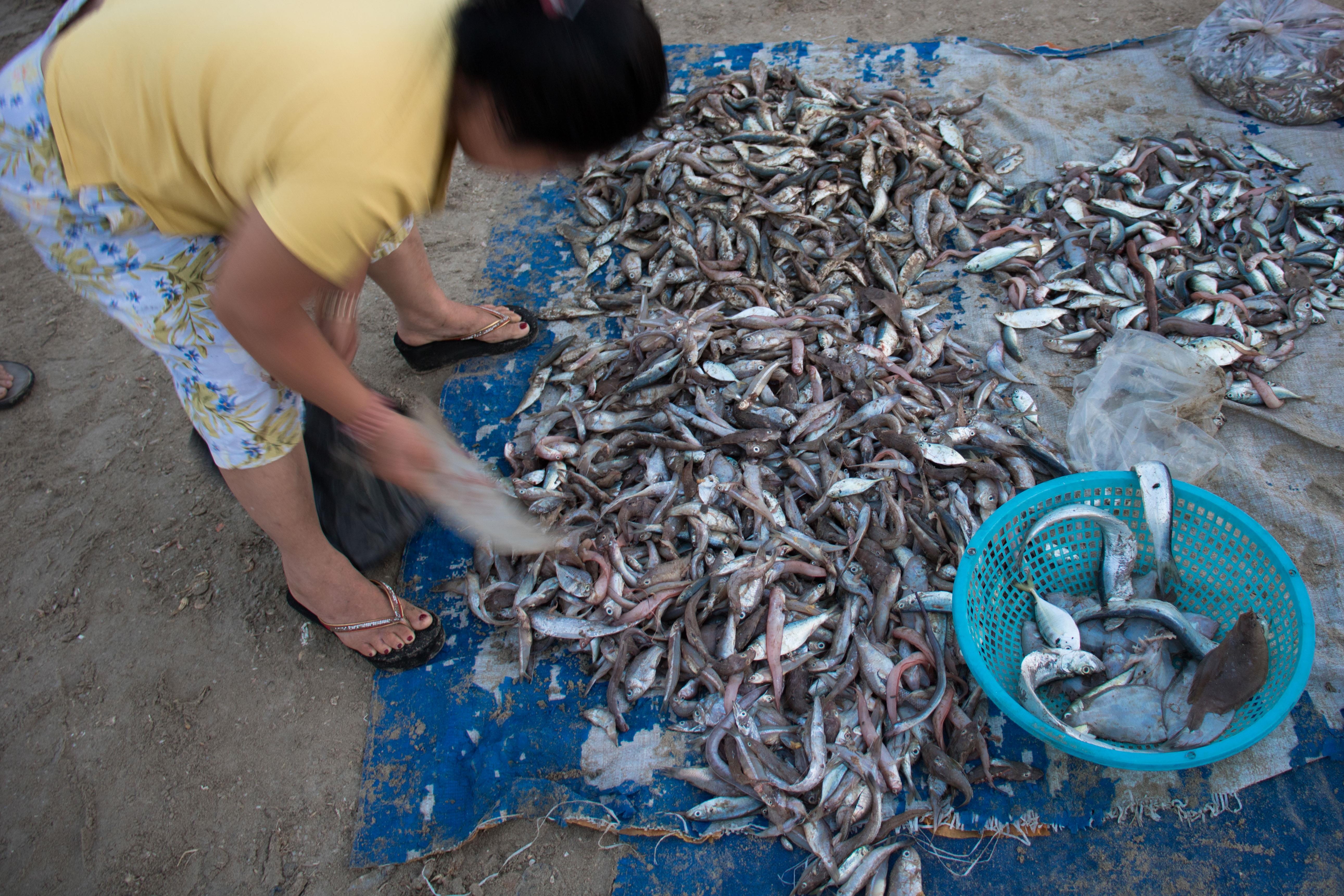 Ngu dan Da Nang trung dam me ca. anh 12