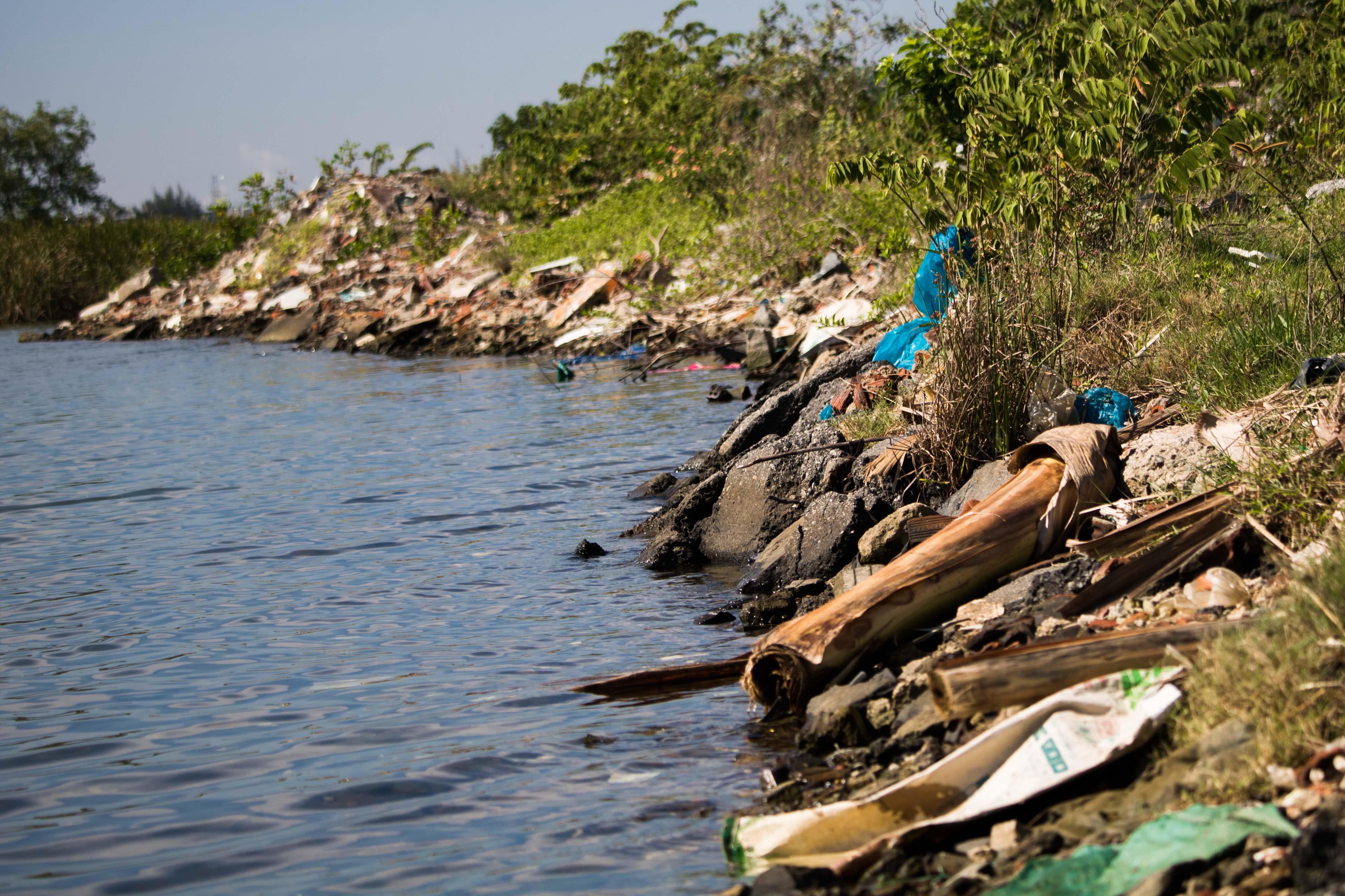 Bai rac tu phat o Da Nang anh 11