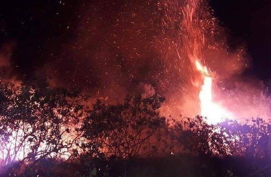 Doi thong o Ha Tinh boc chay ngun ngut hinh anh