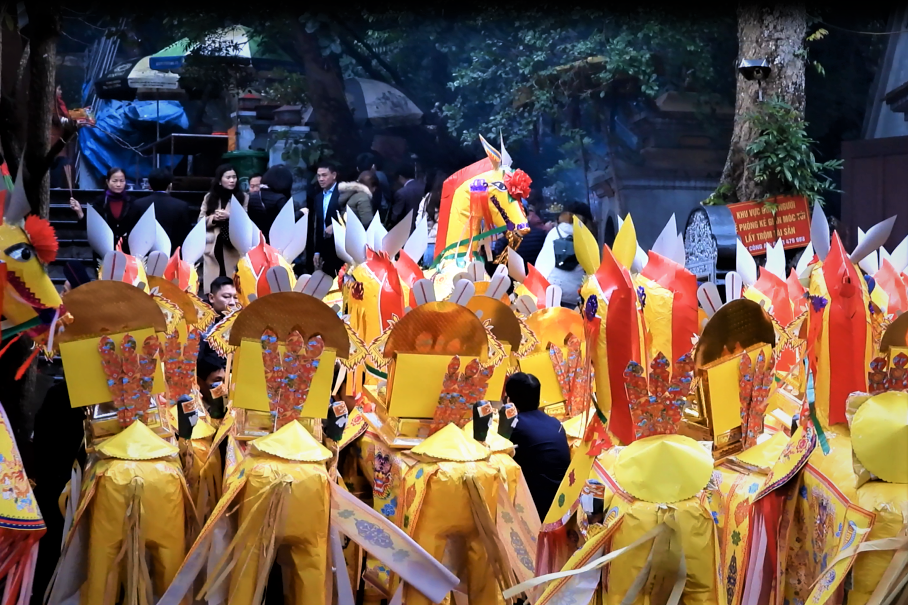 Ngua giay bua vay den Cui o Ha Tinh. anh 1
