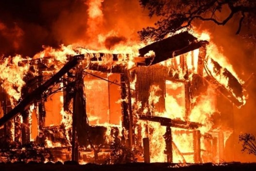 Hoa hoan thieu rui can nha go hinh anh