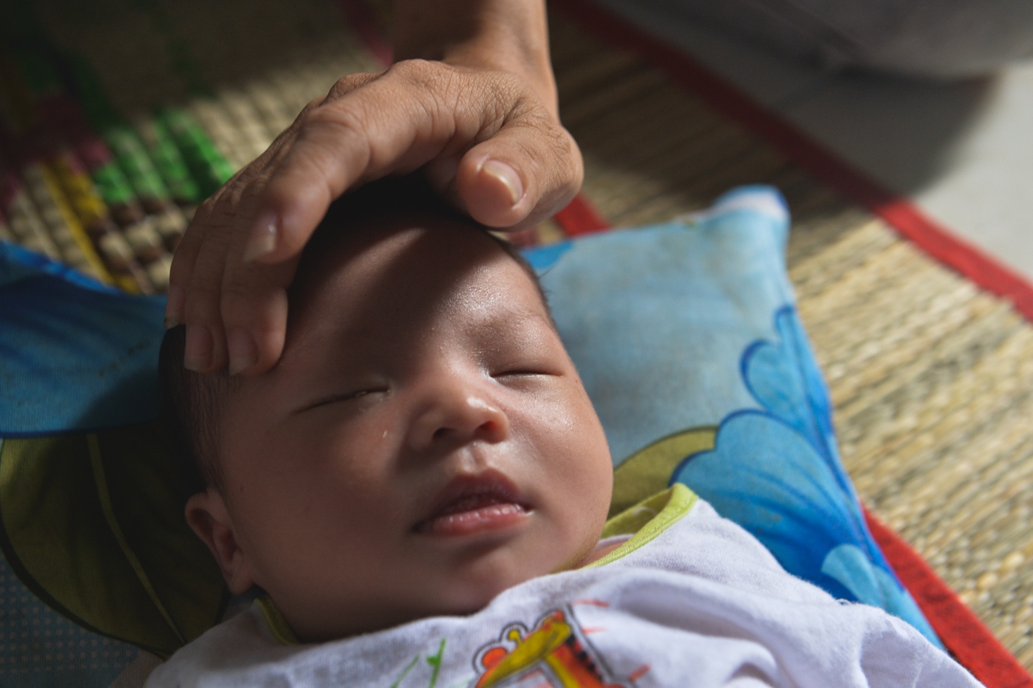 Nhà có con bị mất tích ảnh 3 Nha co con bi mat tich anh 3