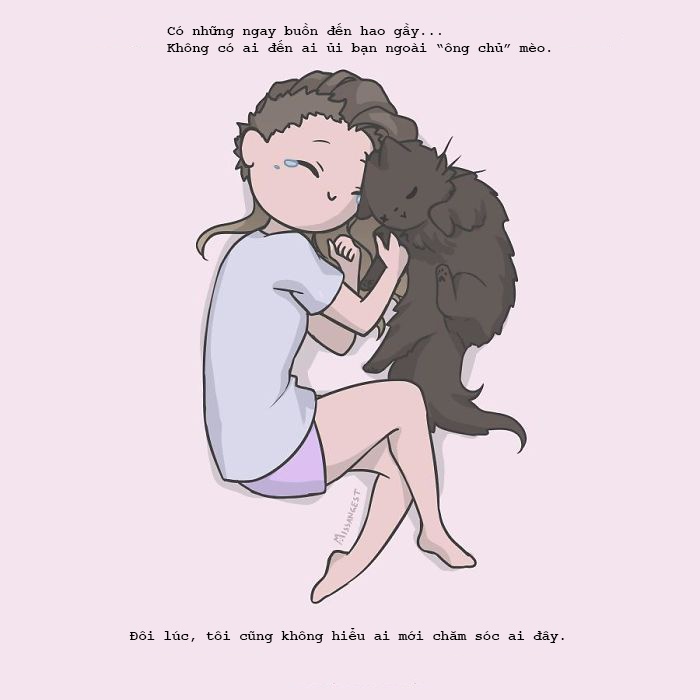 Noi kho cua nguoi nuoi meo anh 8