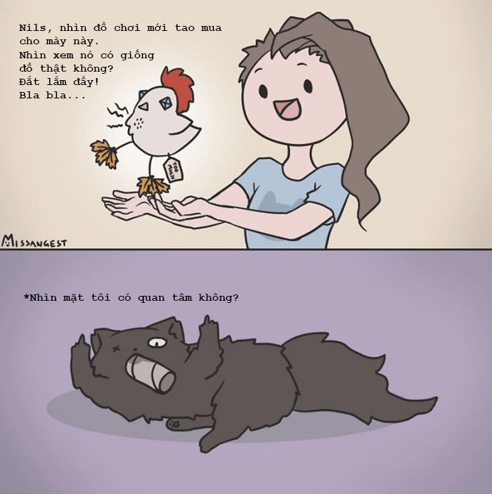 Noi kho cua nguoi nuoi meo anh 1