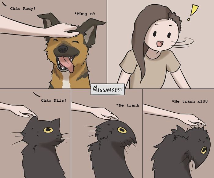 Noi kho cua nguoi nuoi meo anh 5