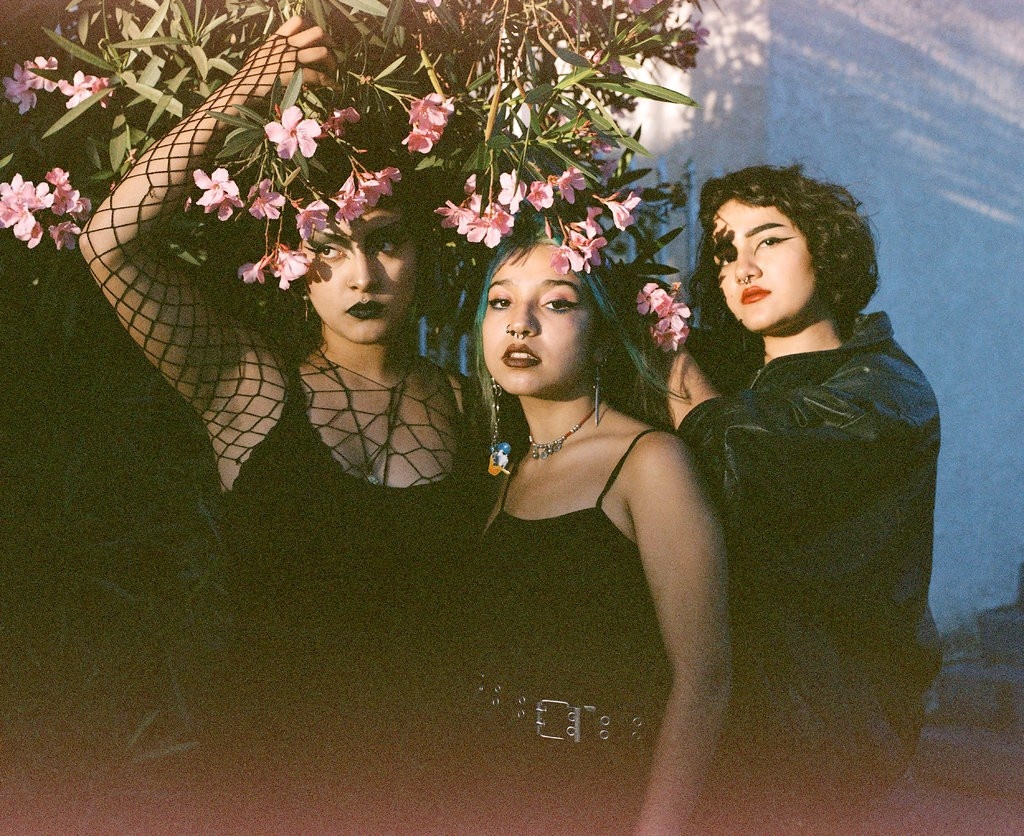nhạc punk rock ảnh 9 nhac punk rock anh 9