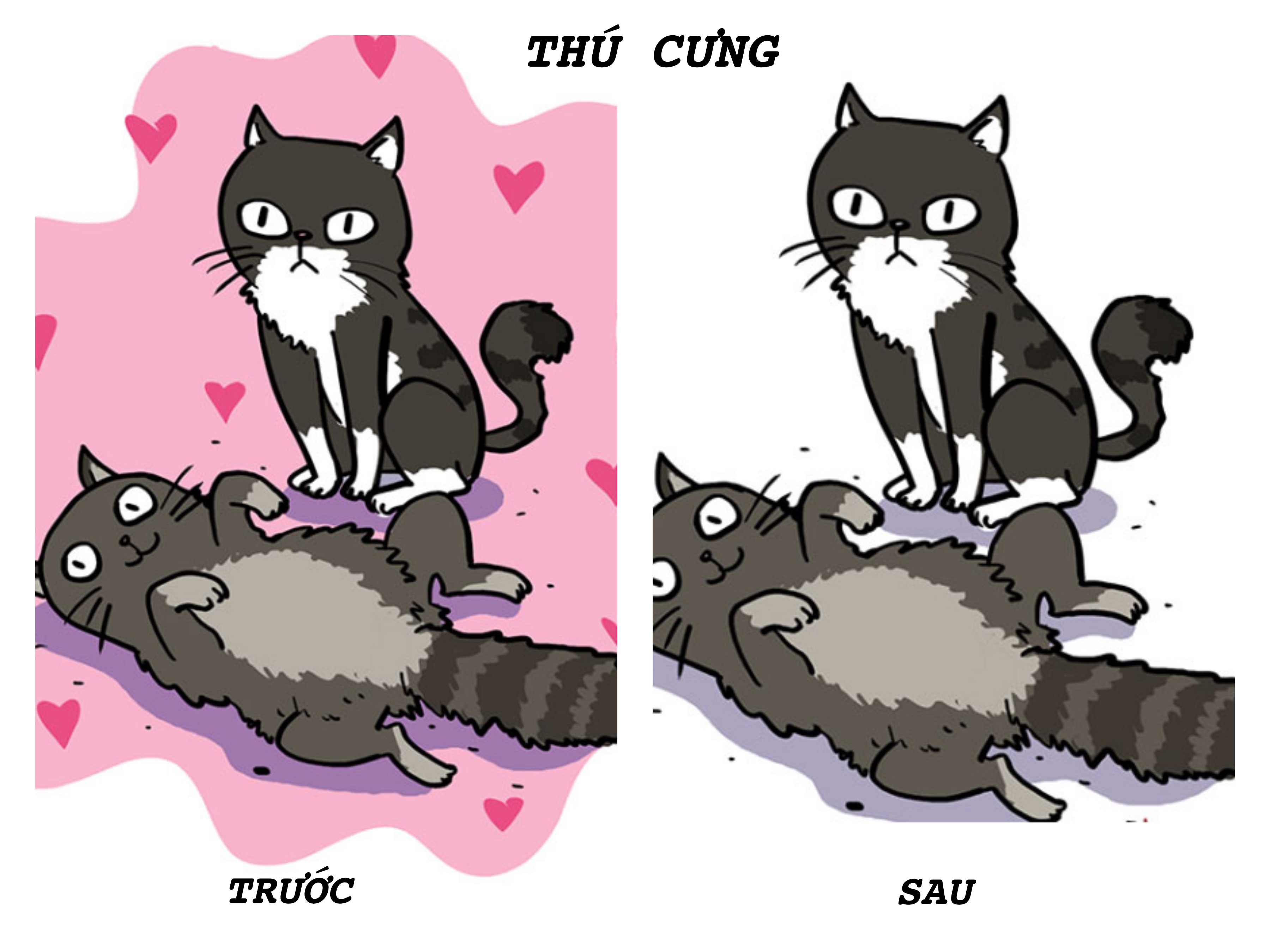 su khac biet khi moi lap gia dinh va co con nho anh 3