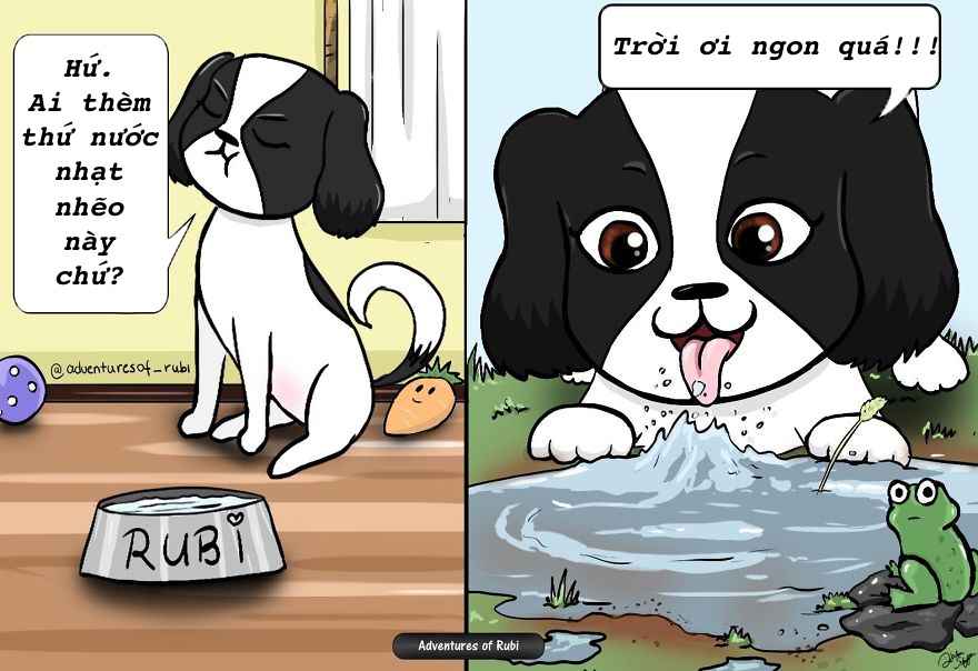 nỗi khổ người nuôi chó mới hiểu ảnh 1 noi kho nguoi nuoi cho moi hieu anh 1