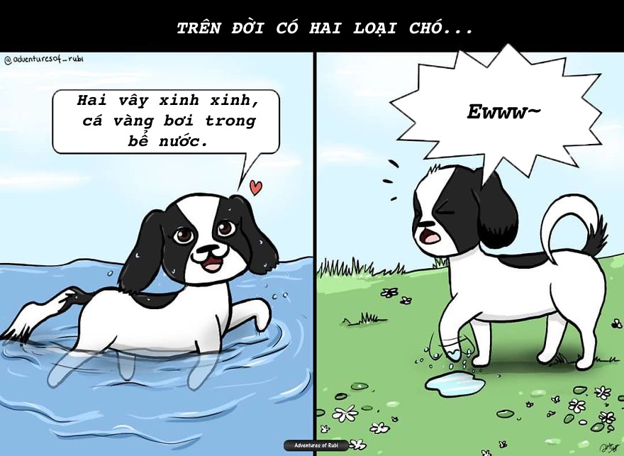nỗi khổ người nuôi chó mới hiểu ảnh 2 noi kho nguoi nuoi cho moi hieu anh 2