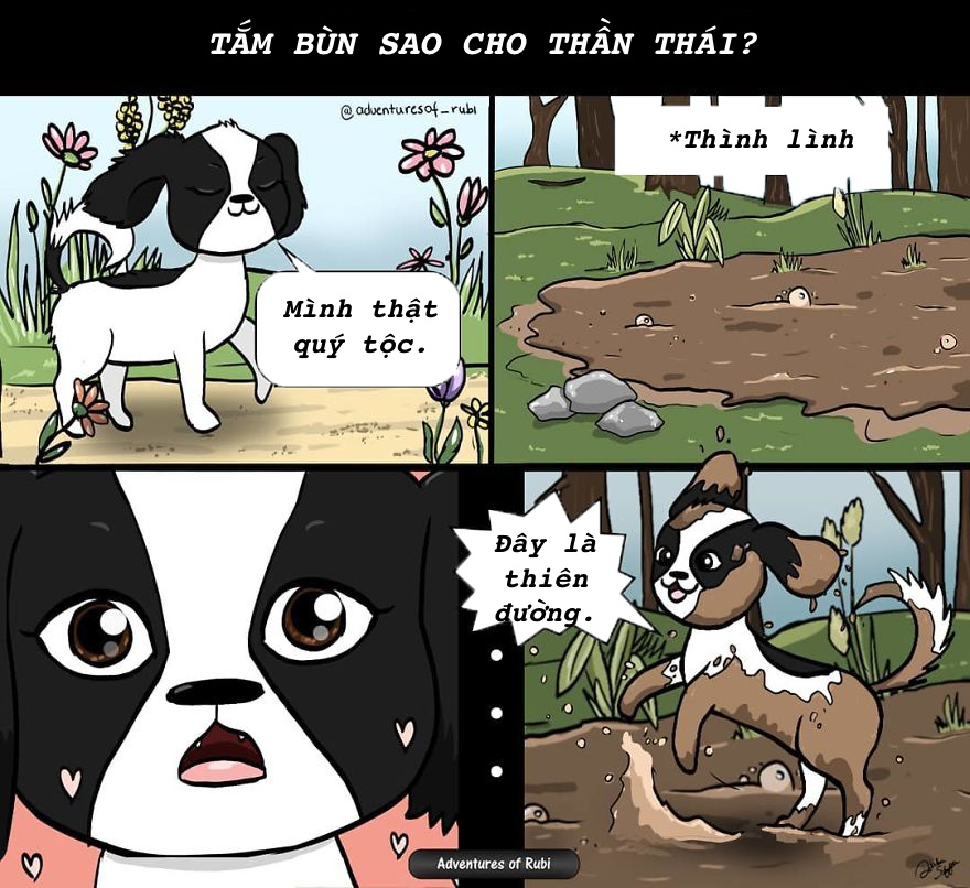 nỗi khổ người nuôi chó mới hiểu ảnh 3 noi kho nguoi nuoi cho moi hieu anh 3