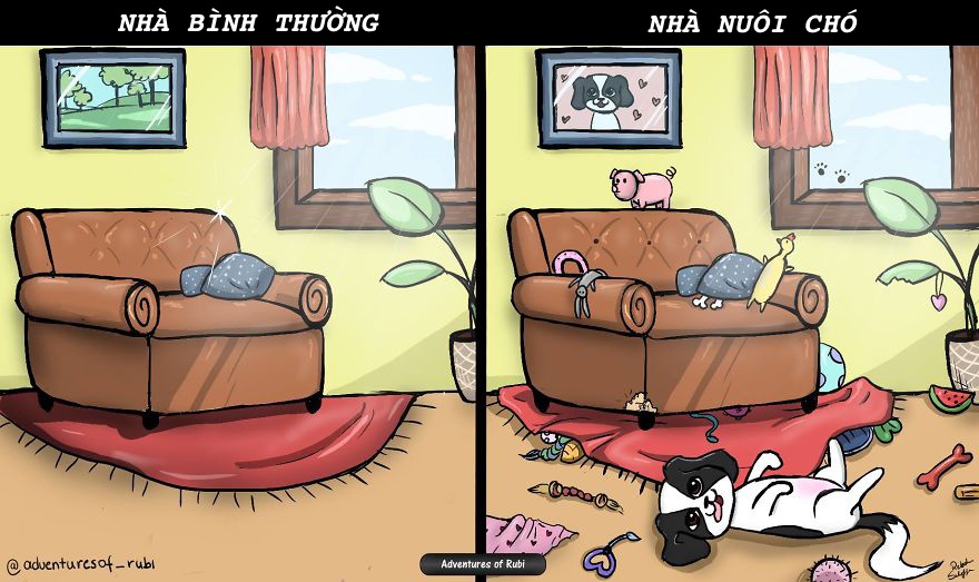 nỗi khổ người nuôi chó mới hiểu ảnh 4 noi kho nguoi nuoi cho moi hieu anh 4