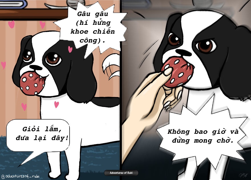 nỗi khổ người nuôi chó mới hiểu ảnh 5 noi kho nguoi nuoi cho moi hieu anh 5