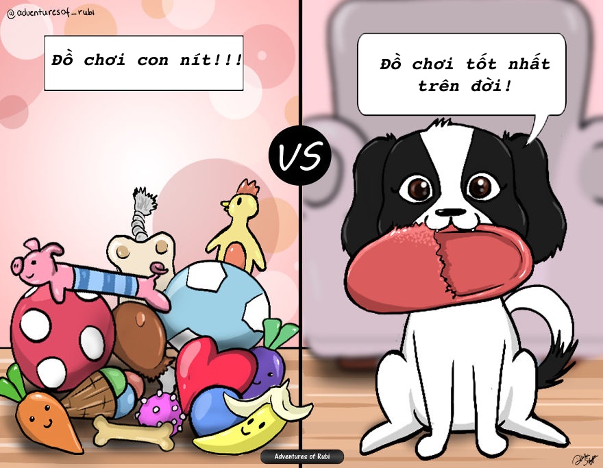 nỗi khổ người nuôi chó mới hiểu ảnh 6 noi kho nguoi nuoi cho moi hieu anh 6