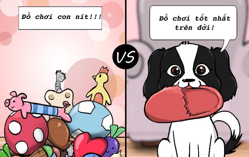 Noi niem kho noi nen loi chi hoi nuoi cho moi hieu hinh anh