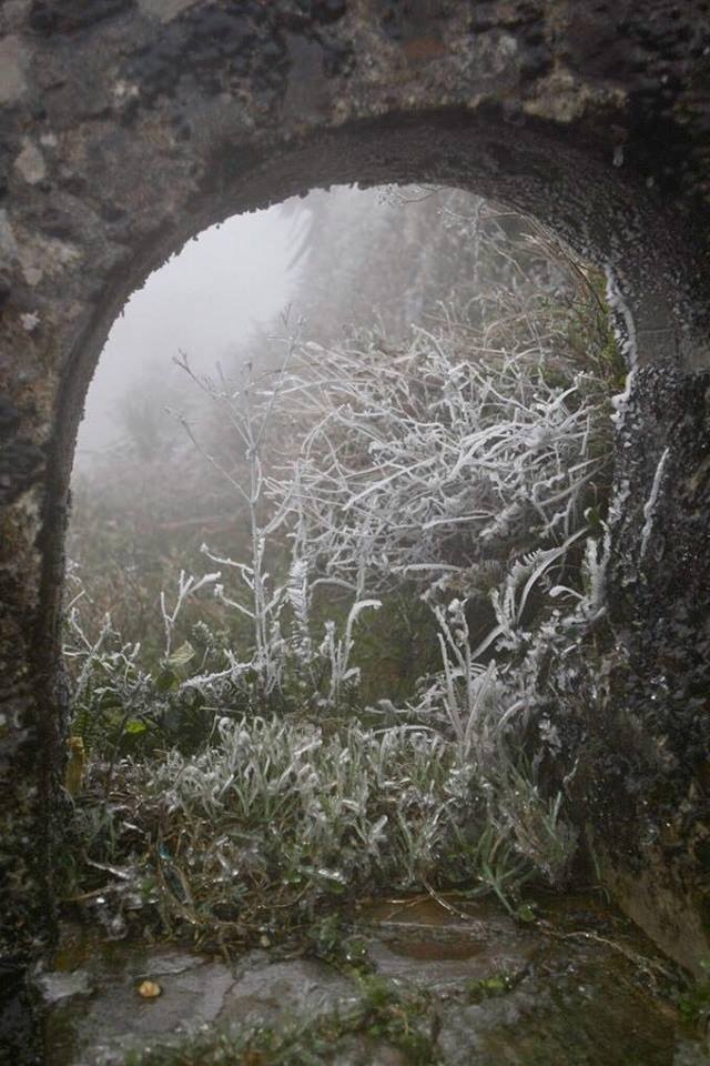 bang tuyet Mau Son anh 5