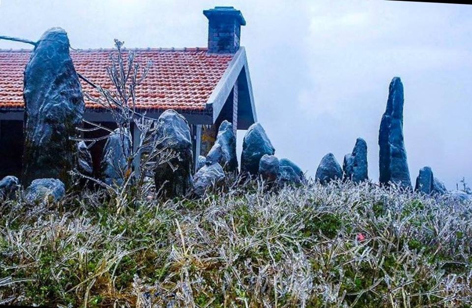 bang tuyet Mau Son anh 1