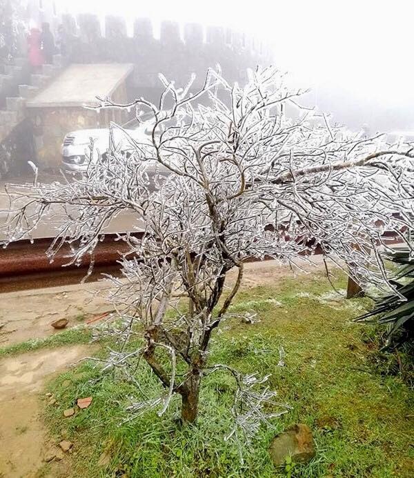 bang tuyet Mau Son anh 6