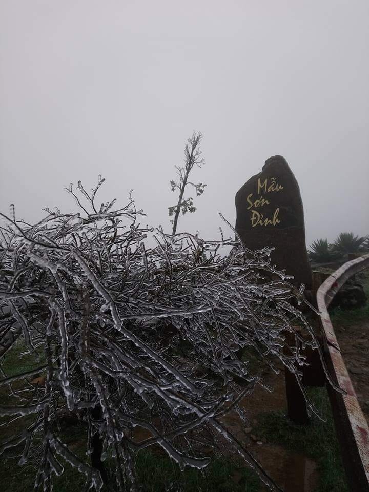 bang tuyet Mau Son anh 12