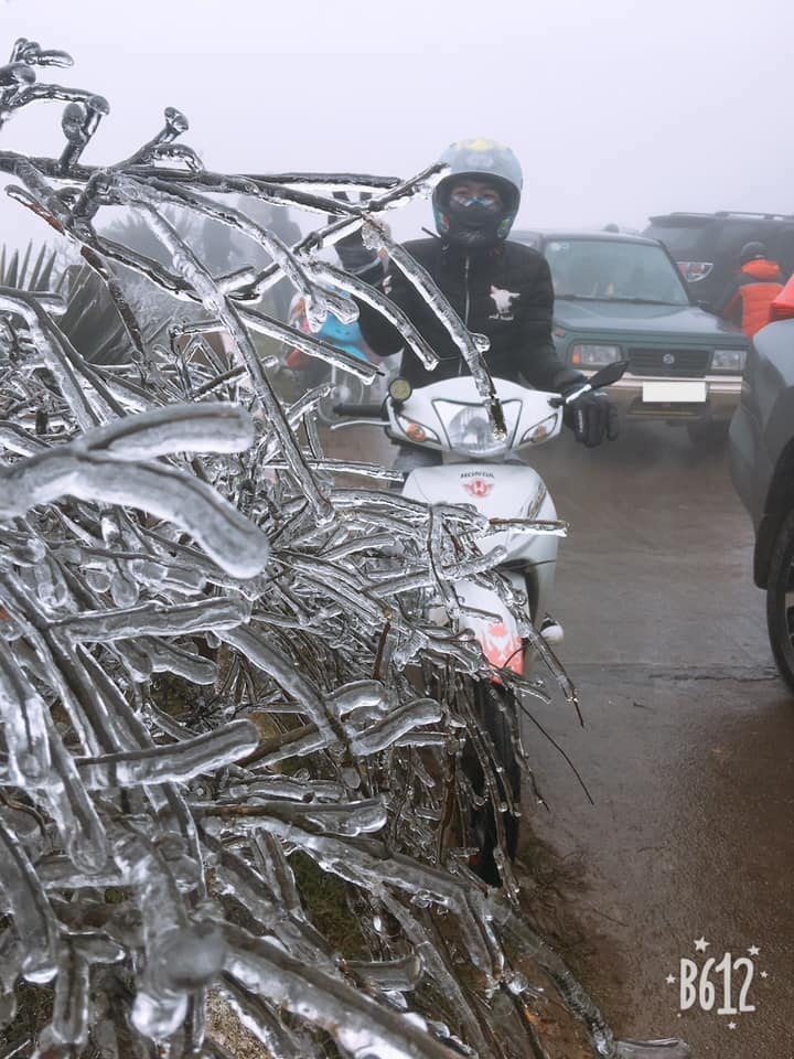 bang tuyet Mau Son anh 8