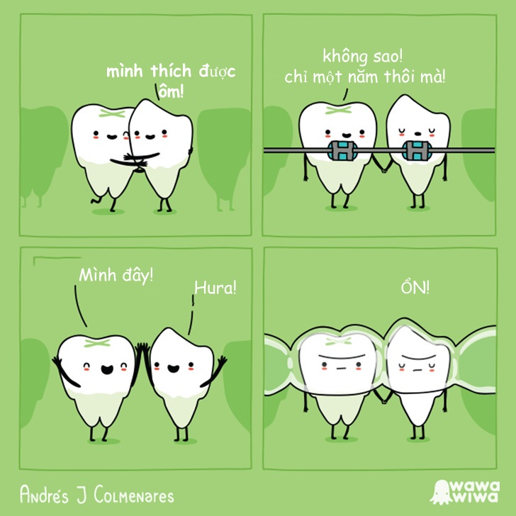 tình huống éo le của các loài động vật ảnh 1 tinh huong eo le cua cac loai dong vat anh 1