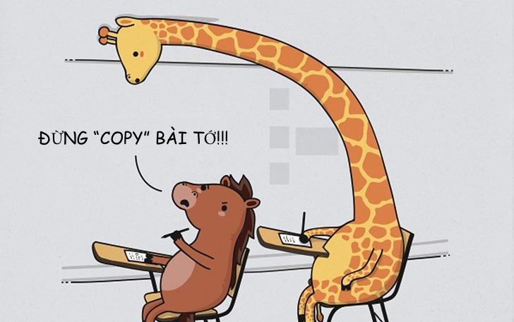 Loat tinh huong tro treu cua dong vat khien chung ta bat cuoi hinh anh