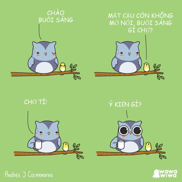 tình huống éo le của các loài động vật ảnh 4 tinh huong eo le cua cac loai dong vat anh 4