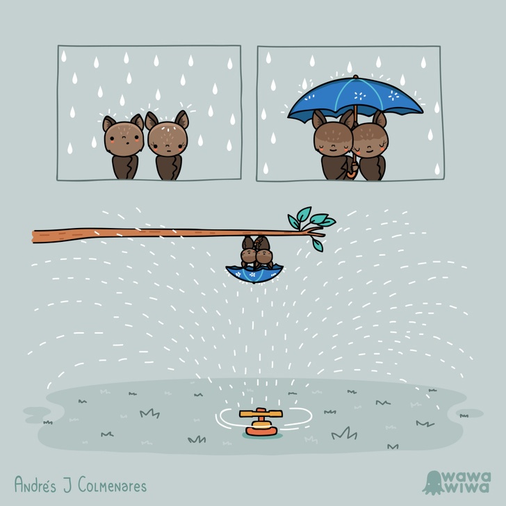 tình huống éo le của các loài động vật ảnh 7 tinh huong eo le cua cac loai dong vat anh 7