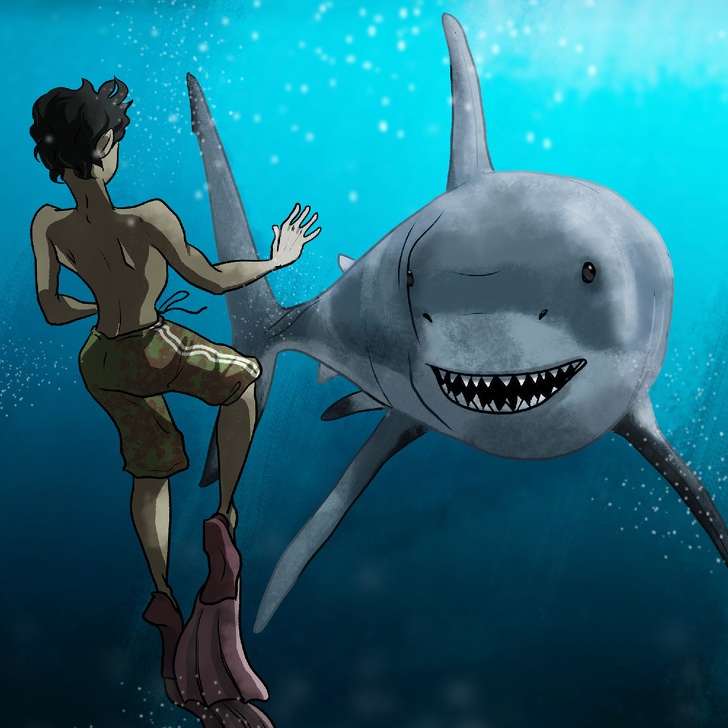 tình huống giải quyết nguy hiểm ảnh 3 tinh huong giai quyet nguy hiem anh 3