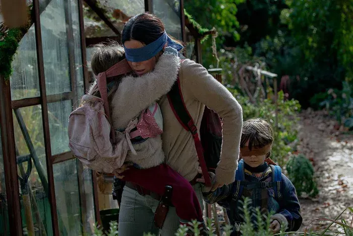 canh bao trao luu Bird box nguy hiem anh 1