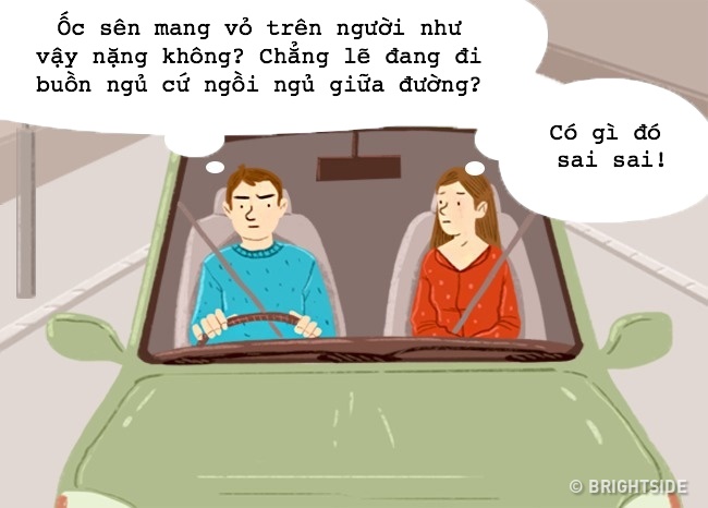 nhung bi mat hiem khi dan ong chia se anh 3