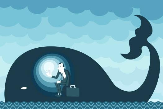 Con nguoi co the song duoc 2 ngay neu vo tinh bi ca voi nuot chung? hinh anh