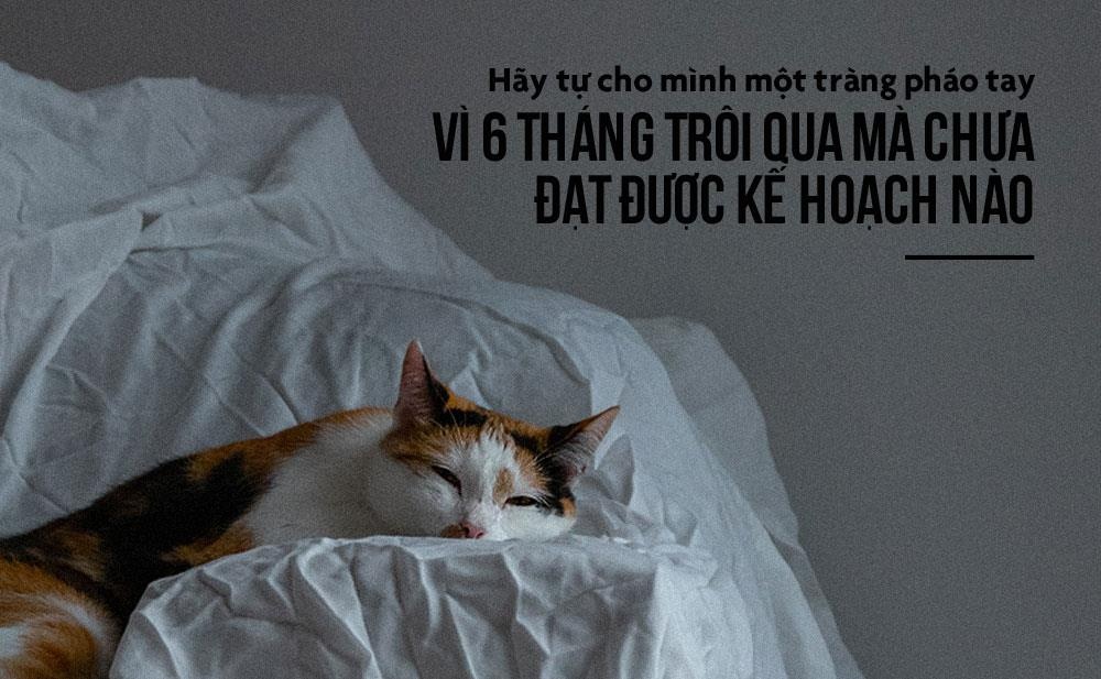 thanh tuu sau nua nam dau anh 8
