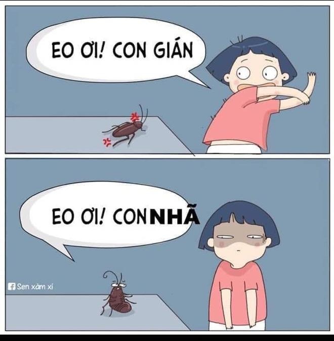 Ve nha di con anh 10