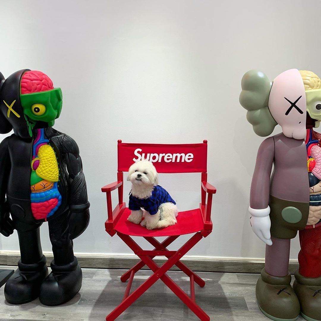 Con gai Minh Nhua anh 6