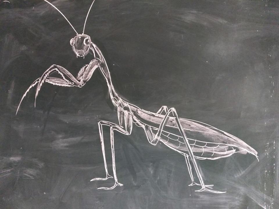 ve tranh bang phan anh 2