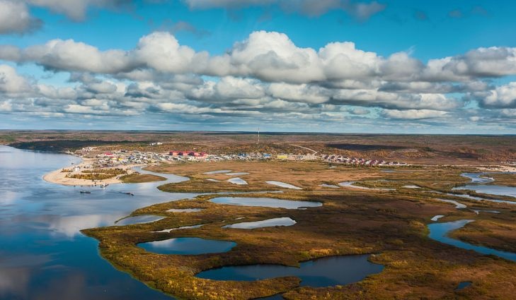 Su that o Bac cuc anh 3