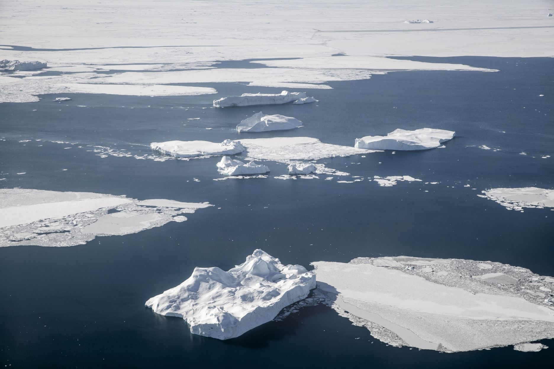 Su that o Bac cuc anh 7