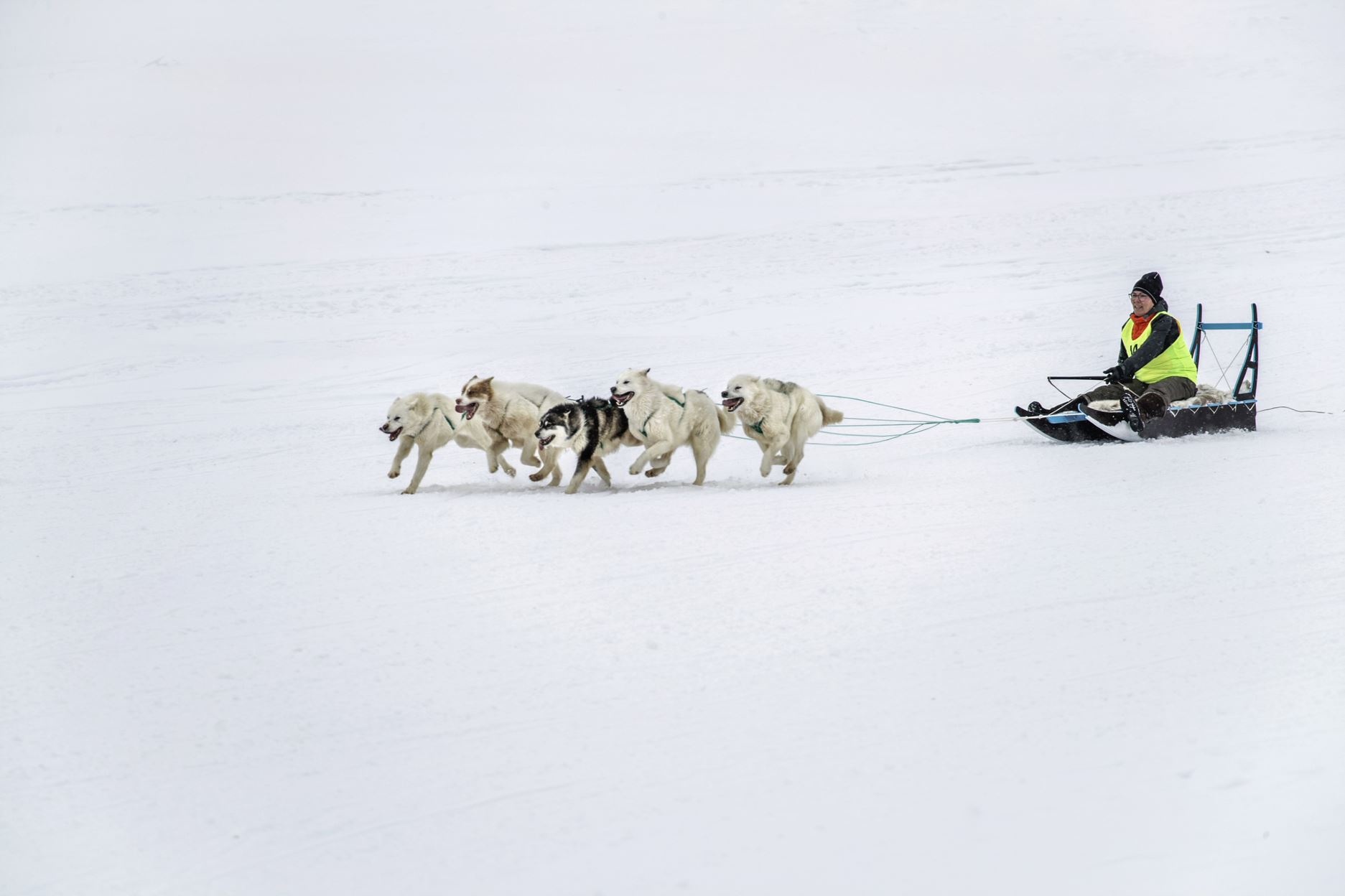 Su that o Bac cuc anh 9