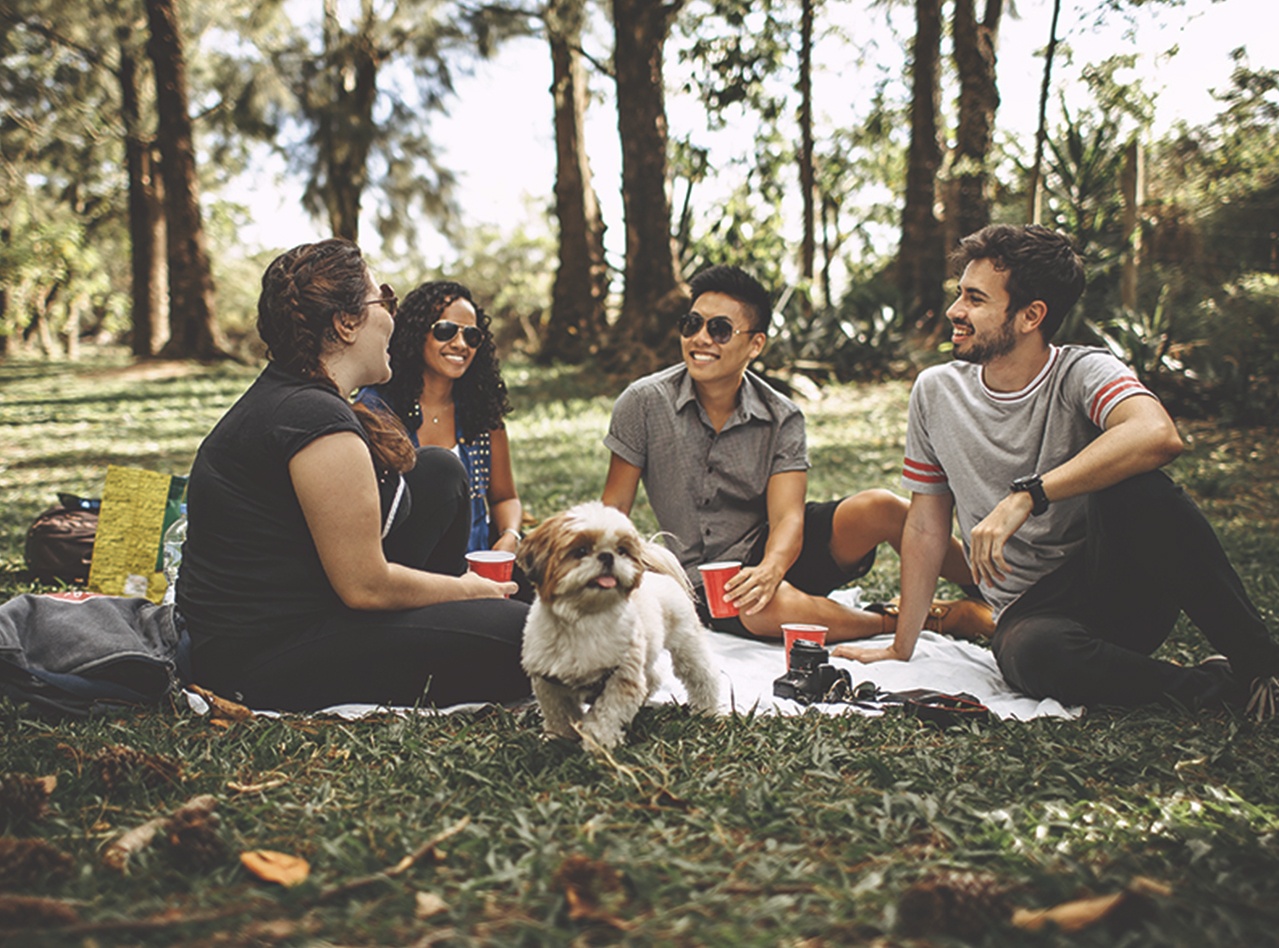 Vung thoai mai Ariston anh 3