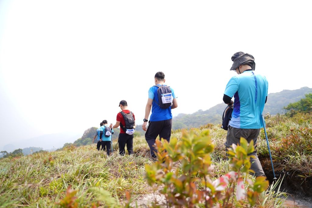 Zalo ảnh 10 Zalo anh 10