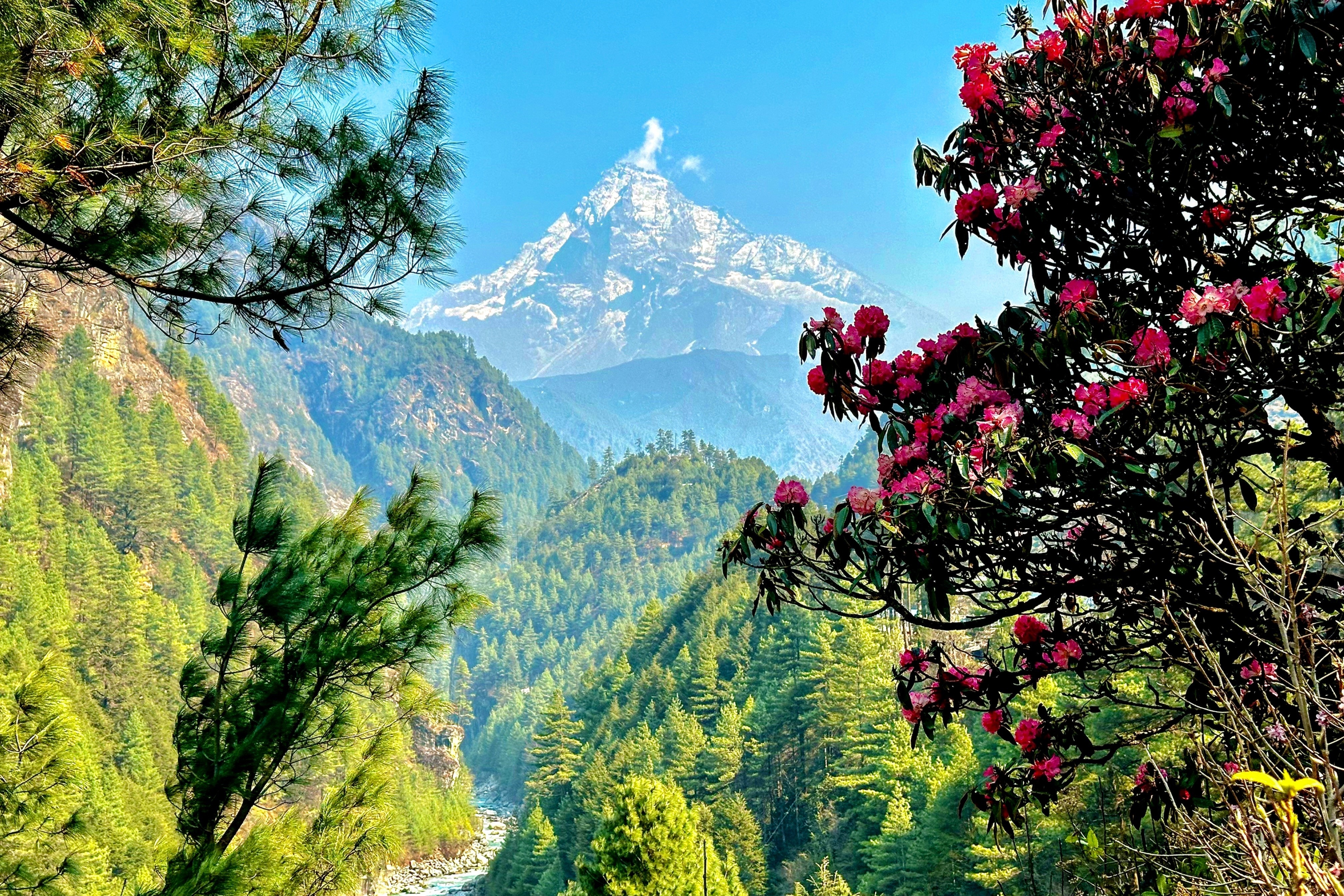 Zalo ảnh 4 Zalo anh 4